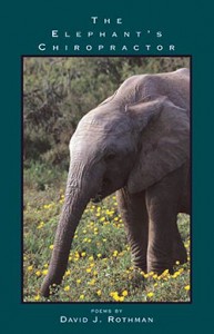 rothman_elephant_chiropractor_web